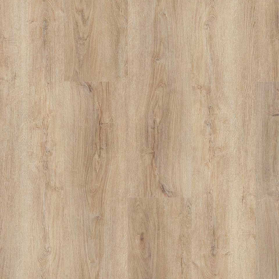 Vorschaubild 14